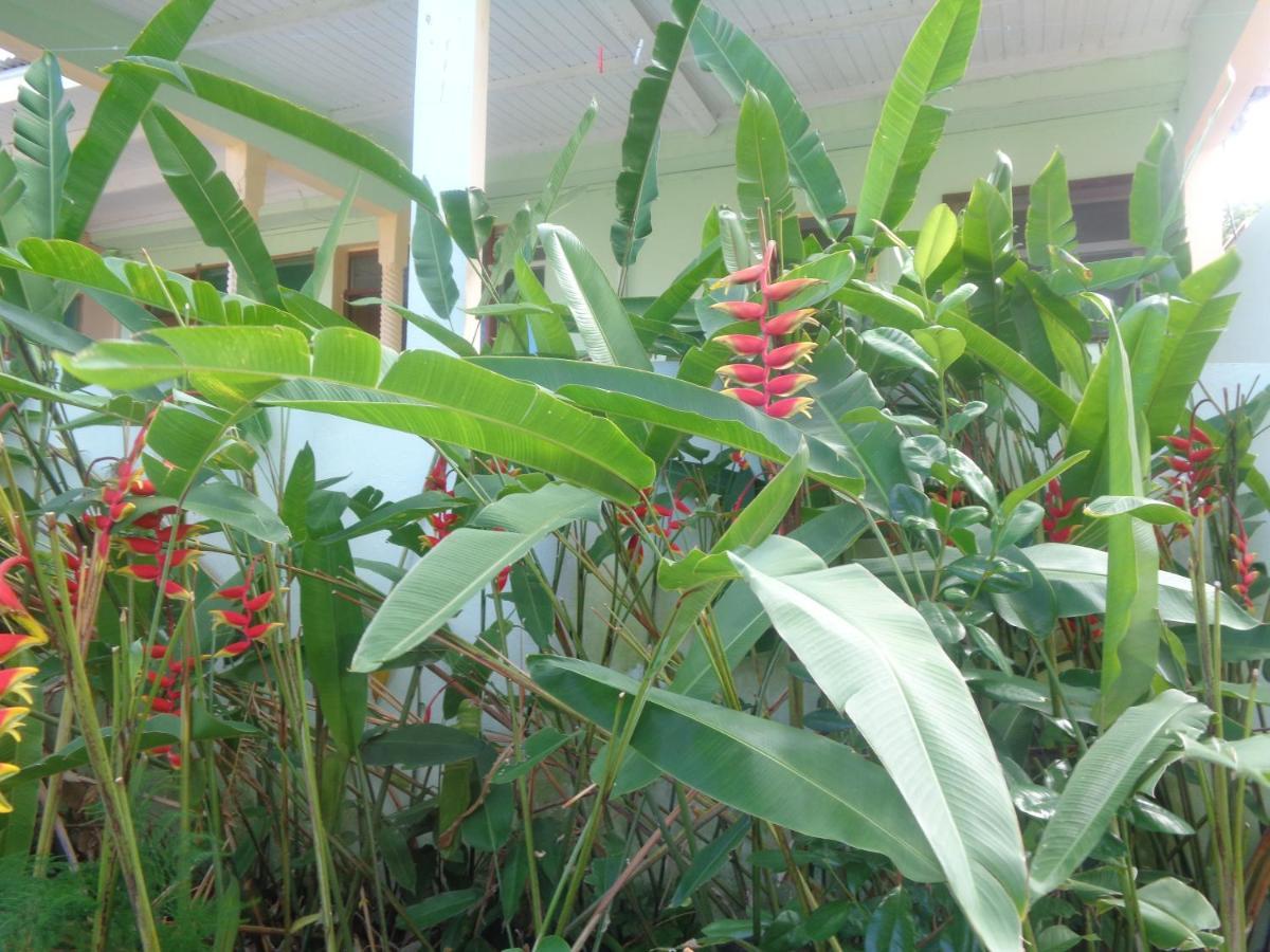 Residence Madelia Grand Anse Ngoại thất bức ảnh