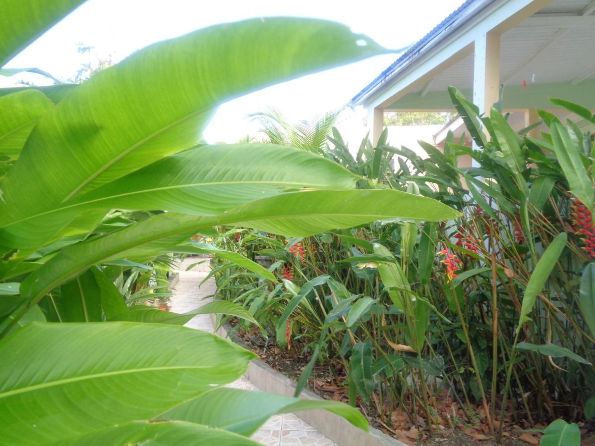 Residence Madelia Grand Anse Ngoại thất bức ảnh