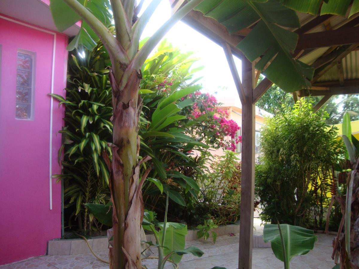 Residence Madelia Grand Anse Ngoại thất bức ảnh