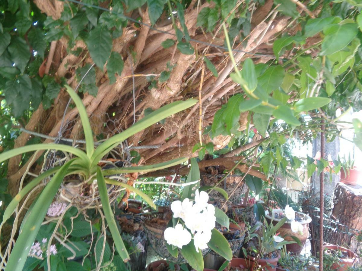 Residence Madelia Grand Anse Ngoại thất bức ảnh